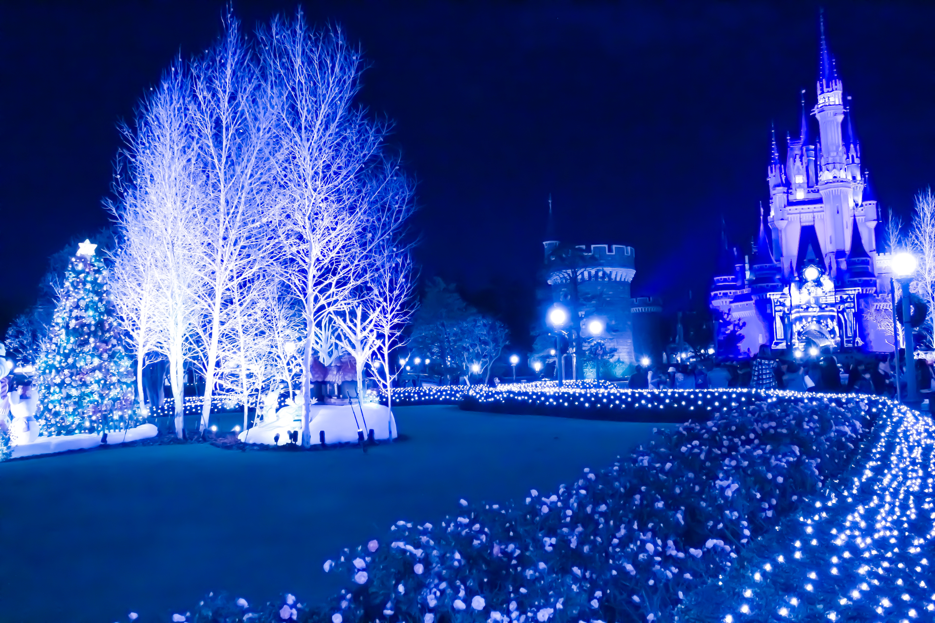 ディズニーランドの画像 原寸画像検索